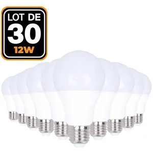 Europalamp - 30 Ampoules led E27 12W Blanc Froid 6000K Haute Luminosité pas cher