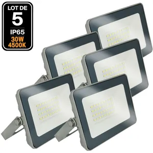 5 Projecteurs LED 30W ProLine Blanc neutre 4000K Haute Luminosité