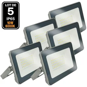 EUROPALAMP 5 Projecteurs led 10W ProLine 6500K Haute Luminosité