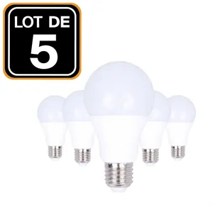 Europalamp - 5 Ampoules led E27 20W 6000K Blanc Froid Haute Luminosité pas cher