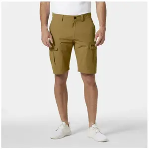 Comparateur de prix : Helly Hansen HH QD Cargo Shorts - Short randonnée homme Lynx US 28