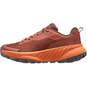 Chaussures de randonnée Helly Hansen Awe DWR Orange 46,5 12091-301 pas cher