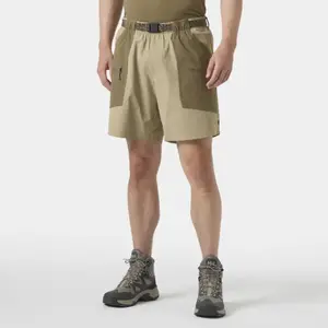 Comparateur de prix : Helly Hansen - Awe Relaxed Shorts - Short randonnée homme Pebble - L