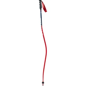 Swix Bâtons World Cup Pro Dh Carbon pas cher