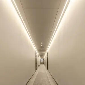 The Light Group SLC Rubans LED Ultra Long iCC IP67 30m 240W 2.700K pas cher