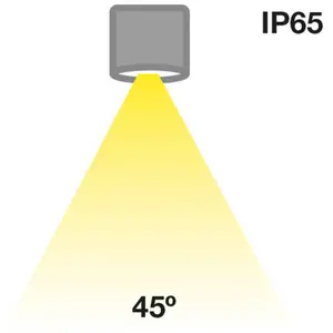 The Light Group SLC MiniOne Fixed downlight LED IP65 blanc 927 pas cher