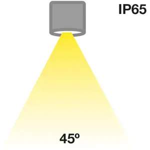 The Light Group SLC MiniOne Fixed downlight LED IP65 noir 927 pas cher