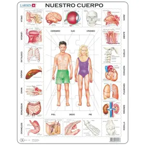 Puzzle Cadre - Nuestro Cuerpo (en Espagnol) 35 Pièces Larsen pas cher