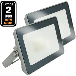 2 Projecteurs led 100W Proline Blanc Froid 6500K Haute Luminosité