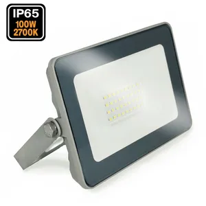 Projecteur led 100W ProLine 3000K Haute Luminosité