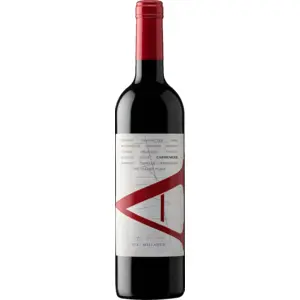 Vina Vik A Carmenere 2021 0.75 l pas cher
