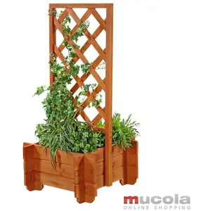 Arche de rose /piedestal avec 2 jardinières 50 cm x 50 cm x 100 cm (l ...