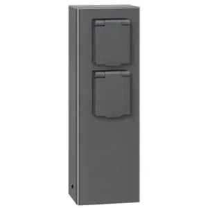 017 colonne de prise graphite 2 prises LCD 017 pas cher
