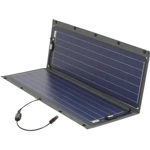 SunWare SW-22039, 12 V Module solaire monocristallin 90 Wp 12 V pas cher