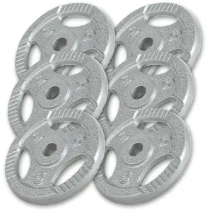 Gorilla Sports Poids en fonte de diamètre 31mm - Disques gris / argent 30kg (6x5kg) pas cher