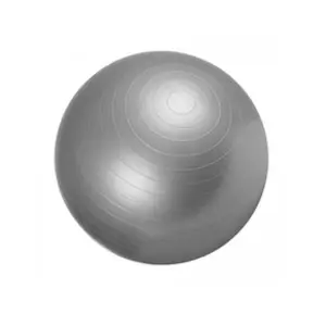 Comparateur de prix : Gorilla Sports Swiss ball - Ballon de gym 65cm Gris