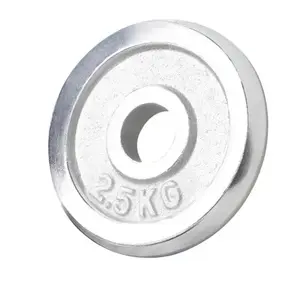 Comparateur de prix : Gorilla Sports Poids chromés de 0,5 à 30kg, 31 mm - Disques chrome 2.5kg