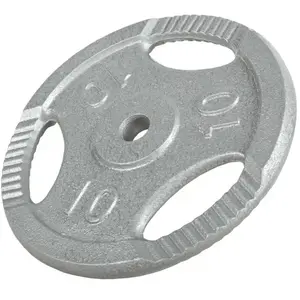 Comparateur de prix : Gorilla Sports Poids en fonte de diamètre 31mm - Disques gris / argent 10kg