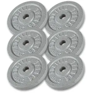 Comparateur de prix : GORILLA SPORTS Disques de poids en fonte gris   de 0 5 kg a 30 kg   poids   30 kg 6 x 5 kg