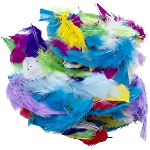 Eduplay Plumes à coller, env. 20 g pas cher