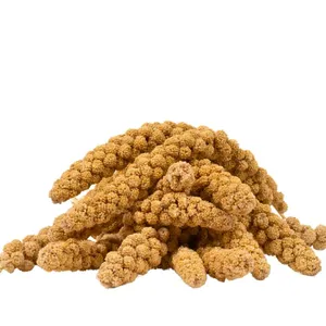 Lyra Pet - 10 kg de millet jaune ®Vendu paramazon