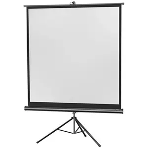 Comparateur de prix : Celexon Economy tripod screen - Écran de projection avec trépied - 1:1