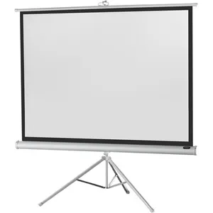 Celexon Economy Pied 244 x 183 White