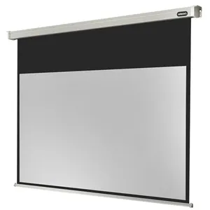 Comparateur de prix : Ecran de projection motorisé Celexon PRO 220x124 - 16:9 - Dos noir - Contours noirs