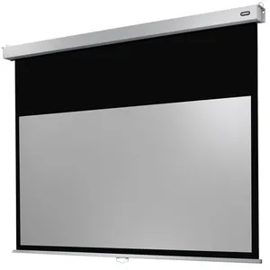 Celexon Ecran de projection Manuel PRO PLUS 300 x 169cm