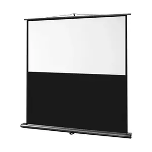 Celexon Ultramobil Professional Écran 160 x 100 cm pas cher