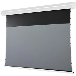Celexon 120" - Écran de projection motorisé HomeCinema Plus - CLR UST ...
