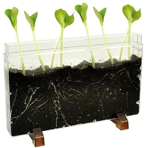 Eduplay - Vivarium pas cher