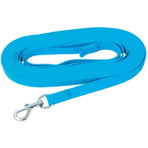 Longe Petlando Strong, bleu pour chien - L 10 m x l 0,2 cm