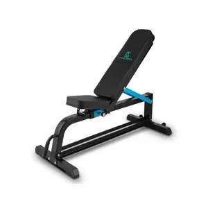 Comparateur de prix : CAPITAL SPORTS Adjustar Banc d'entraînement flexible noir métal 300 kg