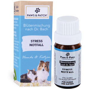 10g PAWS & PATCH Aliment complémentaire d'urgence chien chat pas cher