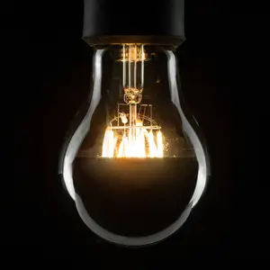Comparateur de prix : SEGULA Ampoule à tête miroir LED A67 E27 6,5W 2.700K