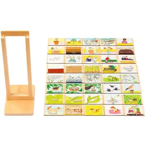 Eduplay Jeu - Le cylces de vie pas cher
