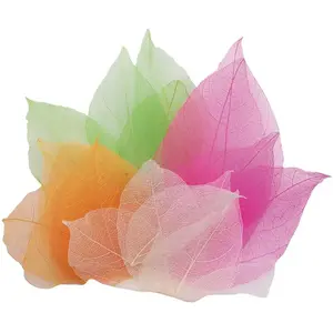 Comparateur de prix : Véritables feuilles de magnolia 300 pièces