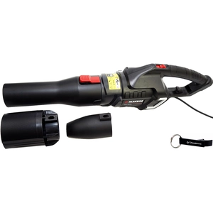 HEADNMORE Bundle Parkside Performance PPELB 1650 Souffleur à feuilles électrique... pas cher