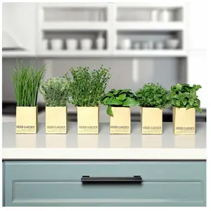 Spetebo Assortiment de fines herbes artificielles en papier - lot de 6 - Herbe décorative HERB GARDENVendu paramazon