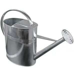 Spetebo Arrosoir de jardin galvanisé 10 litres 54 cmVendu paramazon