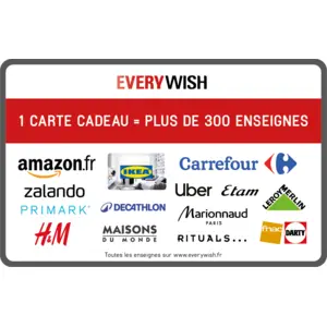 Blackhawk Carte Cadeau 100  EverywishVendu parcarrefour