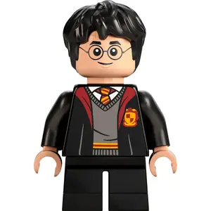 LEGO : Harry Potter avec la cape d'invisibilité pas cher