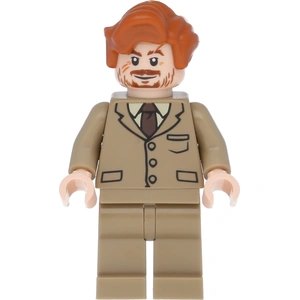 LEGO Harry Potter : Remus Lupin pas cher