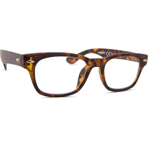 I Need You Reading Woody TortoiseVendu parlentiamo