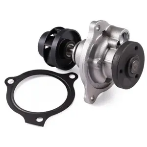 Pompe À Eau Ford Hepu P254 pas cher
