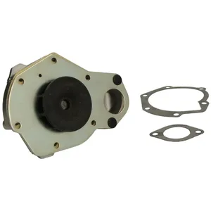 Pompe à eau HEPU P819 pas cher