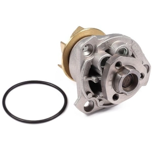 Pompe à eau HEPU P525 pas cher