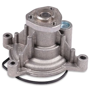 Pompe à eau HEPU P570 pas cher