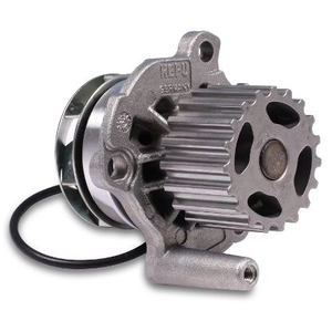 Pompe à eau HEPU P551 pas cher